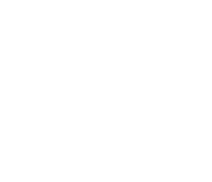 NordVPN logo